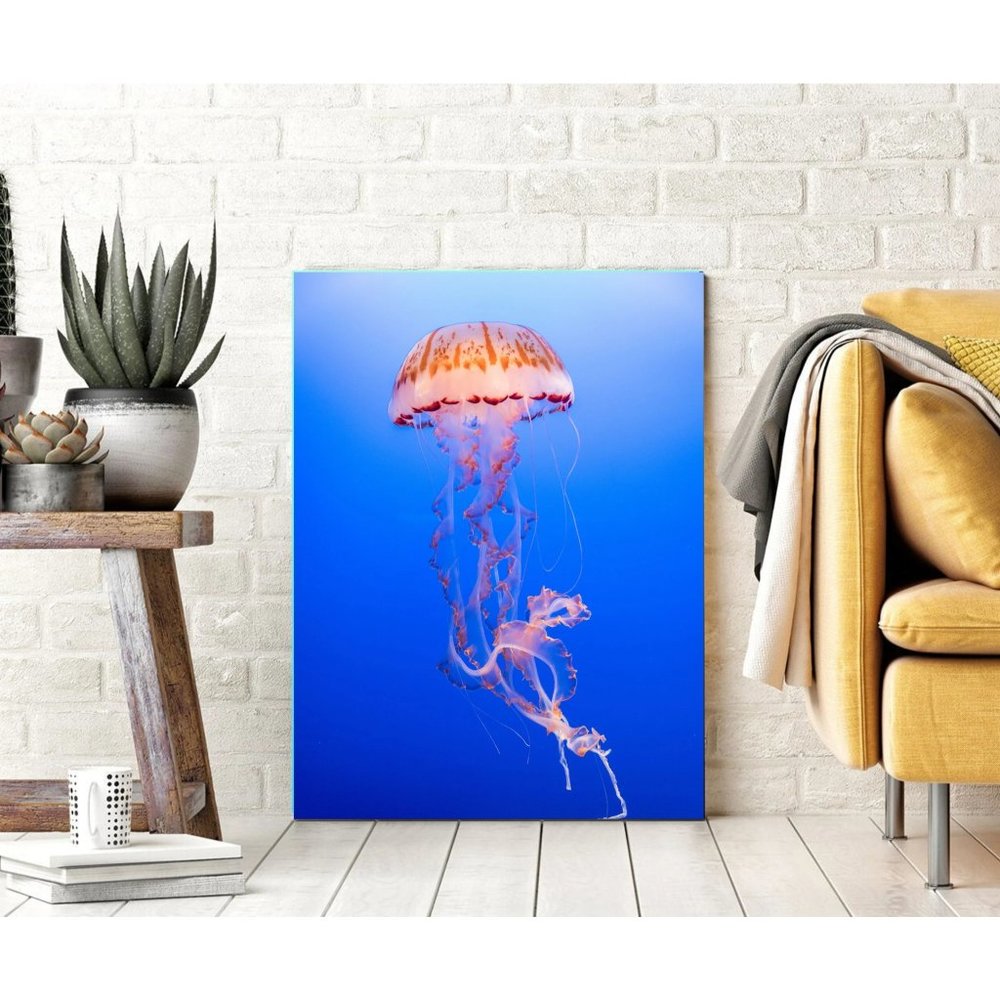 Jellyfish Canvas Art Print Ocean Art 14x18 framed